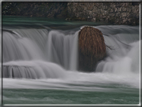 foto Lungo il Fiume Brenta